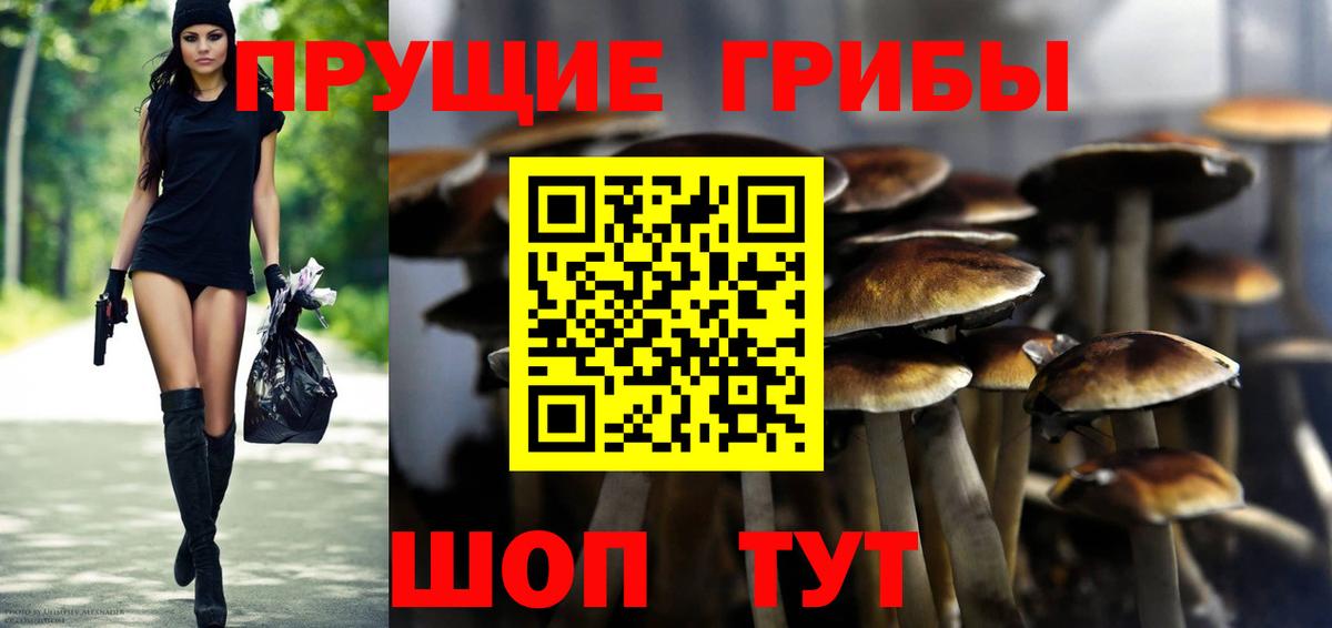 Галлюциногенные грибы MAGIC MUSHROOMS Новороссийск